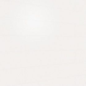 MEISTERPANELS TERRA DP 250 VINTAGE WHITE 20099 [3291x241mm]