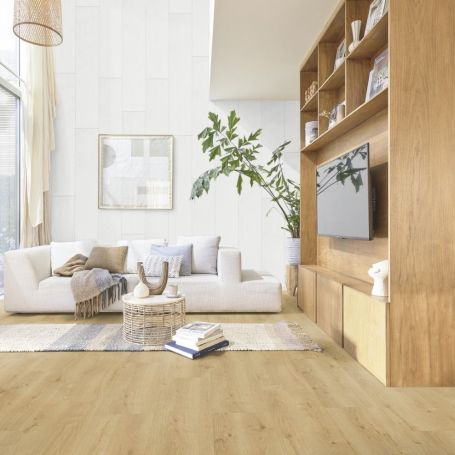 MEISTERPANELS TERRA DP 250 DUSTY WOOD 20100 [2041x241mm]