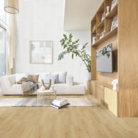 MEISTERPANELS TERRA DP 250 DUSTY WOOD 20100 [4091x241mm]